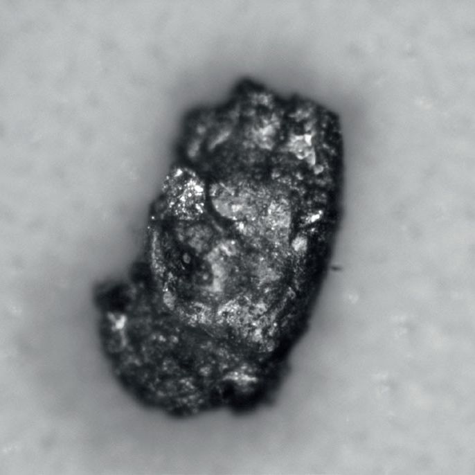 金属颗粒的光学显微图像