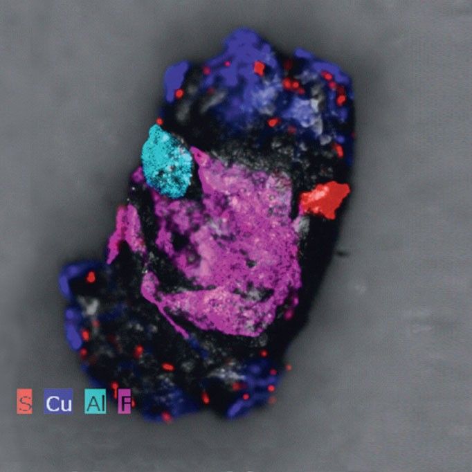 含 EDX 分析的叠加图像