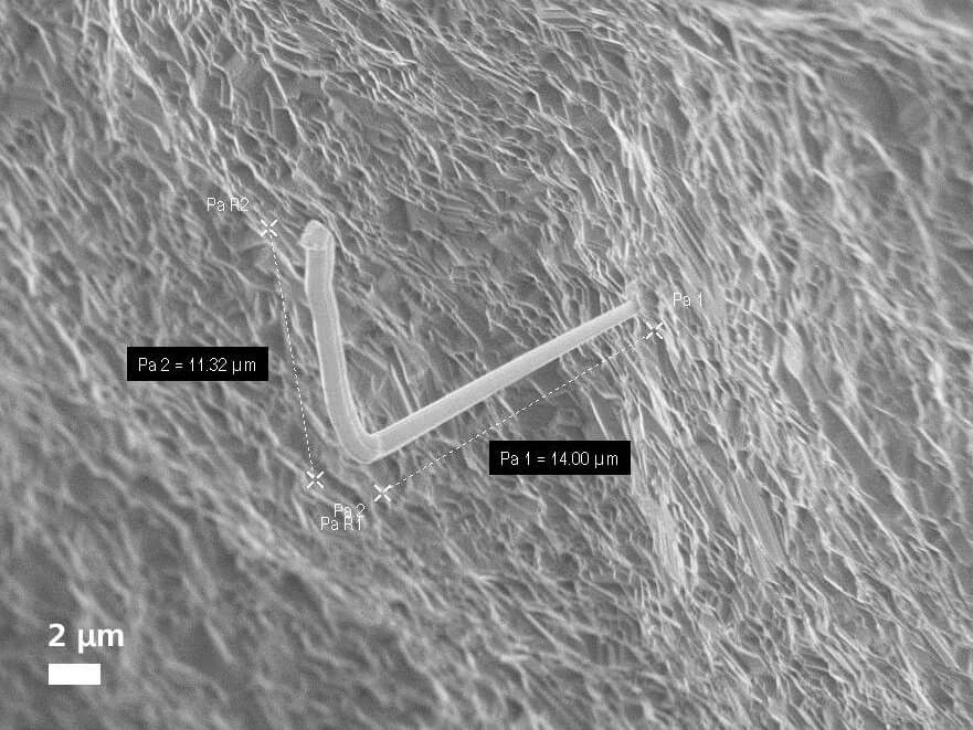 二次电子图像观察的在电子产品上生长的晶须
