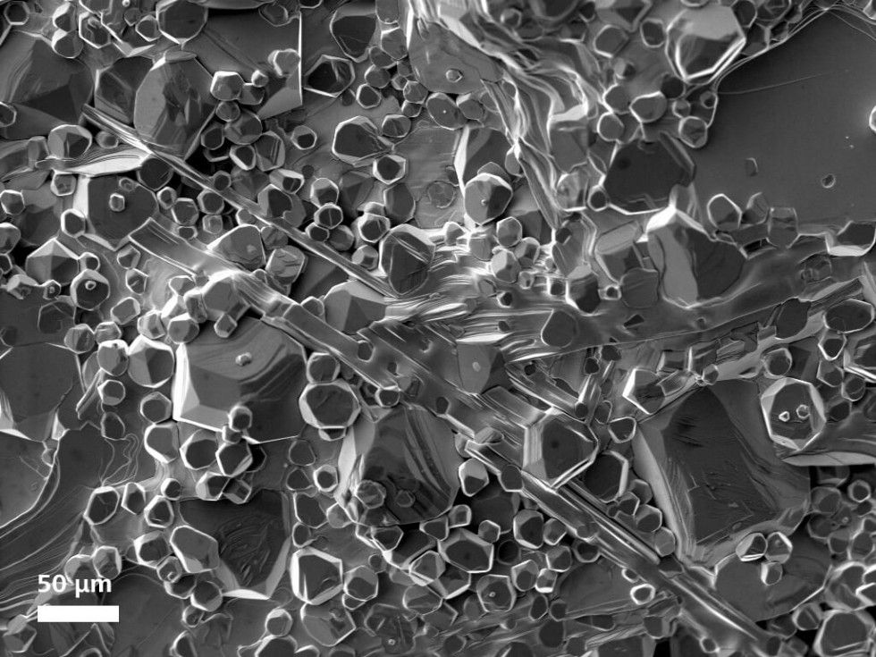 航空航天复合材料，在10 kV可变压力模式下使用 C2D 探测器成像